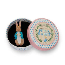 Load image into Gallery viewer, Erstwilder - Peter Rabbit Brooch (2020) - 20th Century Artifacts